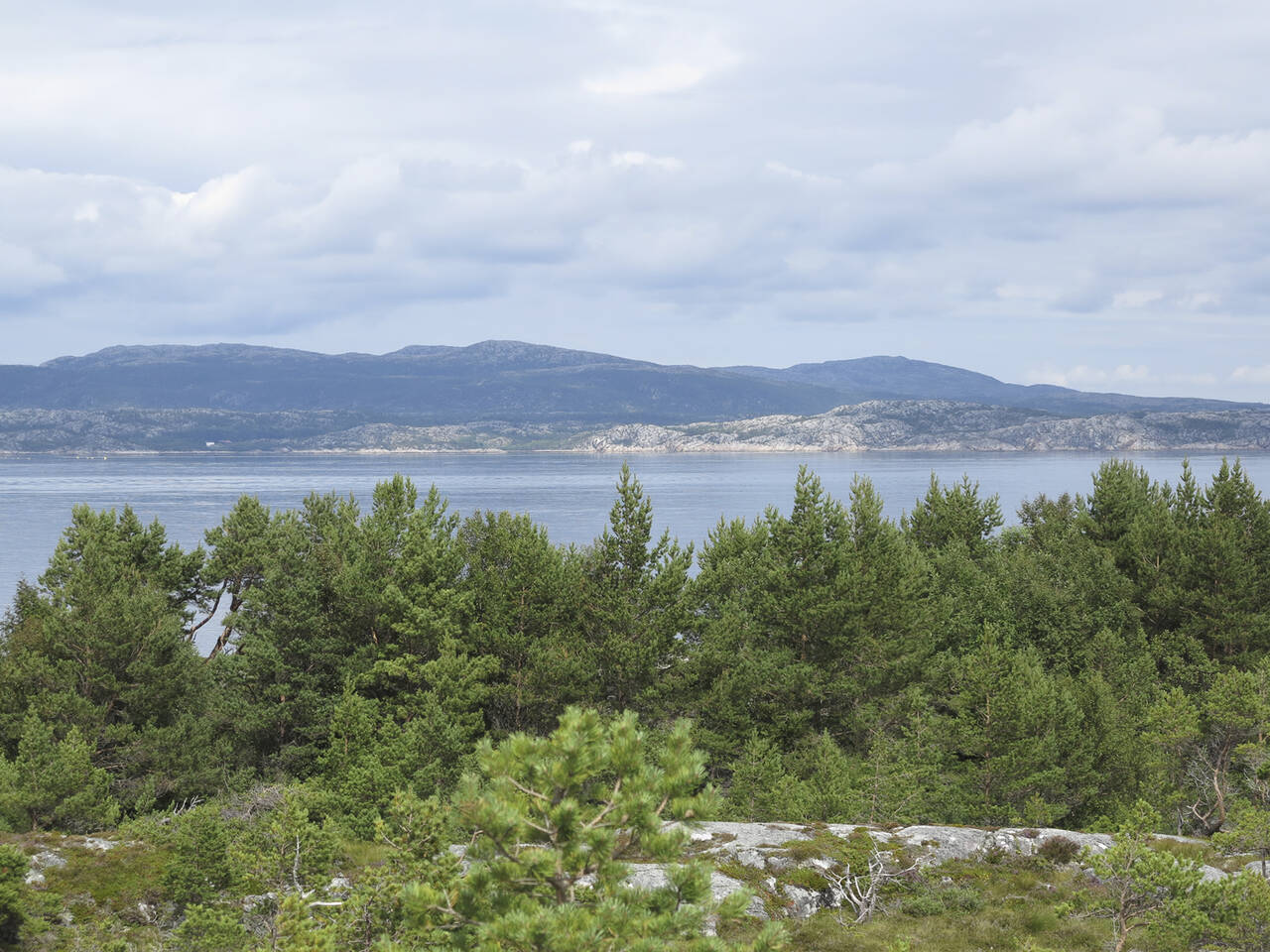 Fra Melland Fort er den fin utsikt til Trondheimsleia.  Foto: Terje Holm