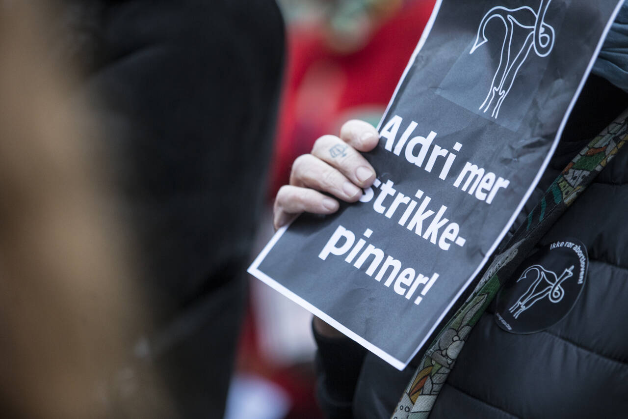 Demonstrant foran Stortinget i Oslo 17. november 2018. Foto: Trond Reidar Teigen / NTB