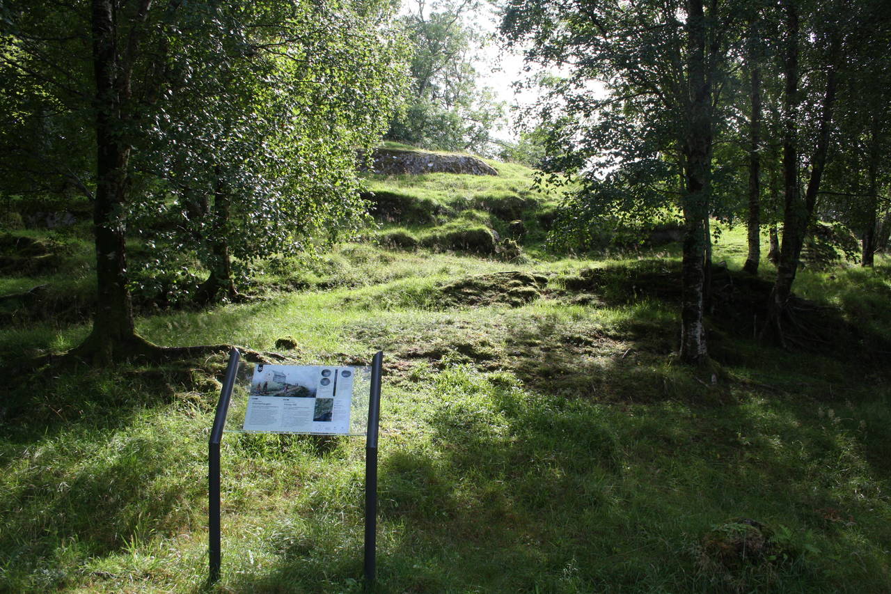 Det er ulovleg og staffbart å grave i område med freda kulturminne. Her frå Klosterhaugen på Herøy gard.  Foto: Møre og Romsdal fylkeskommune