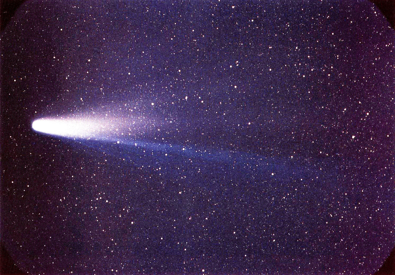 Halleys komet. Comet 1P/Halley as taken March 8, 1986 by W. Liller, Easter Island, part of the International Halley Watch (IHW) Large Scale Phenomena Network.