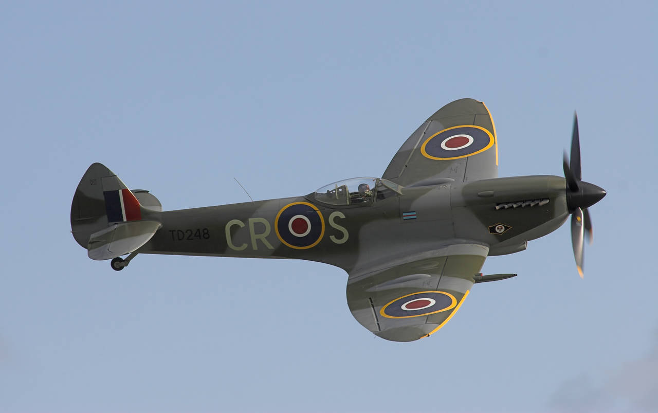 Spitfire. By Chowells Noise reduction and shadows lifted by Diliff. (File:Supermarine Spitfire Mk XVI.jpg) [CC BY-SA 2.5 (https://creativecommons.org/licenses/by-sa/2.5)], via Wikimedia Commons