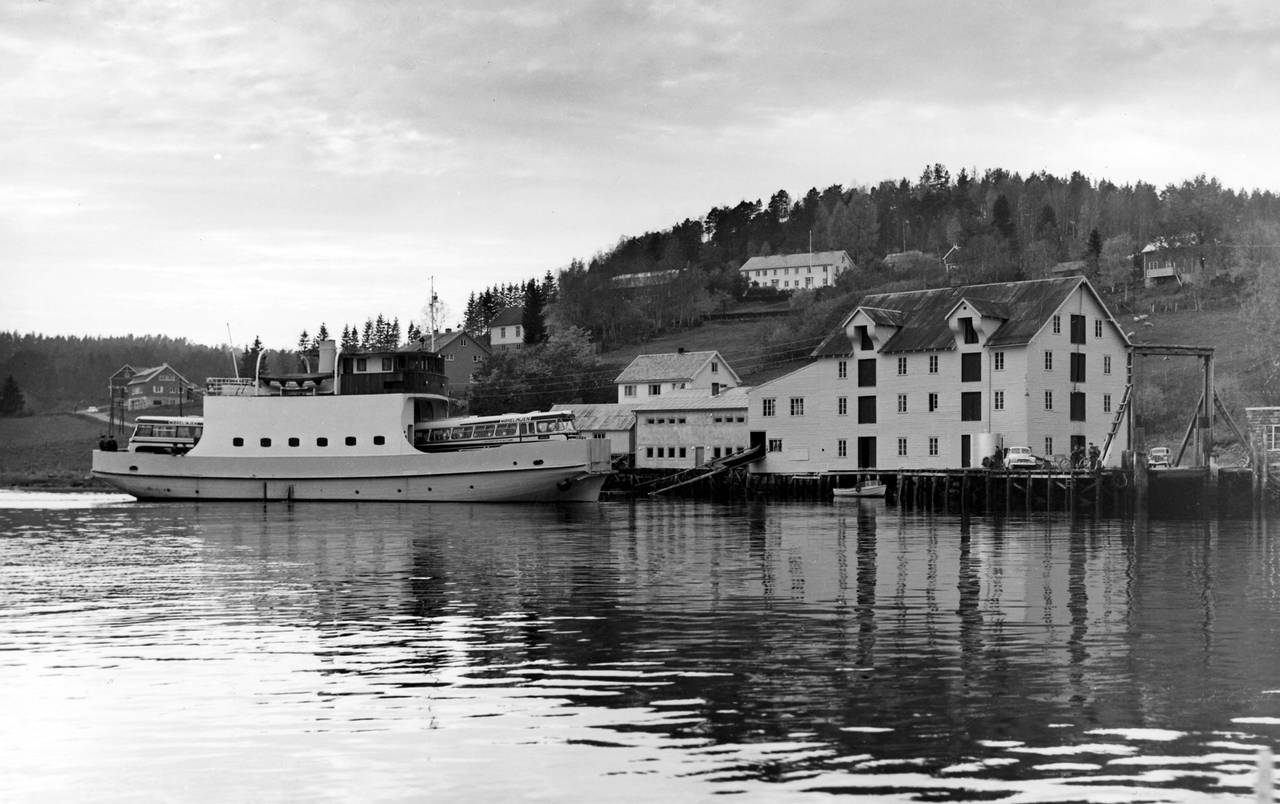 Med sin vakre linjeføring, ble B/F «Tingvoll» kalt for Tingvollfjordens hvite svane. (Bilde utlånt av Geir Emil Angvik)