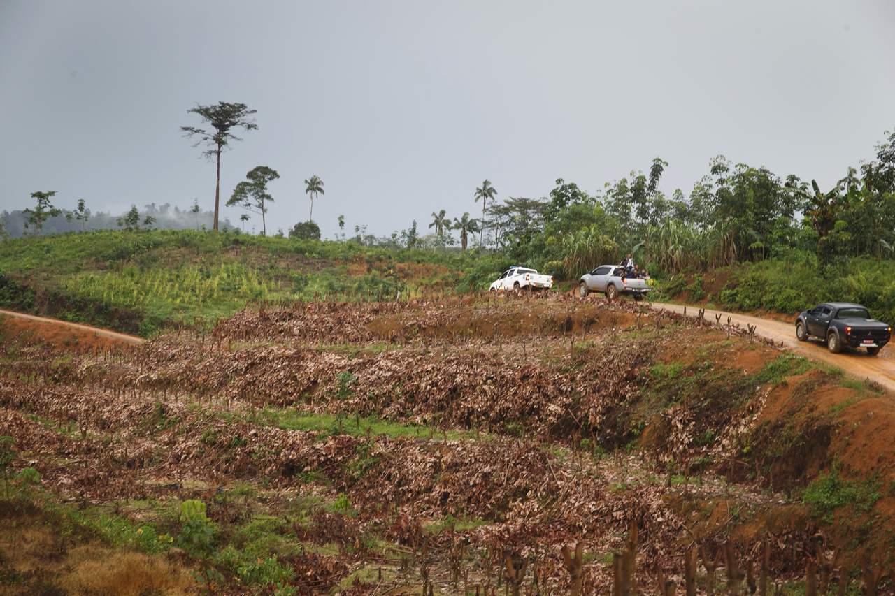 Mye av skogen er ødelagt i det konvoien til statsminister Erna Solberg kjører den fire timer lange veien til Bujang Raba på Sumatra onsdag. Solberg skal besøke Orang Rimba Bujang Tampui stammen. Urbefolkningsstammen hun besøker Indonesias siste regnskognomader. Den er svært sårbar og trues av avskoging, som foregår i stor skala i Indonesia. Solberg er på offisielt besøk i Indonesia, hvor det norsk-indonesiske samarbeidet for å redde regnskog er et sentralt tema. Foto: Heiko Junge / NTB scanpix